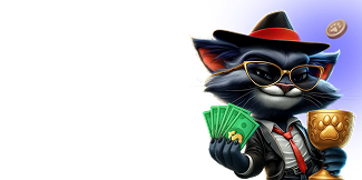 Metody płatności do wpłat i wypłat w kasynie Lucky Capone