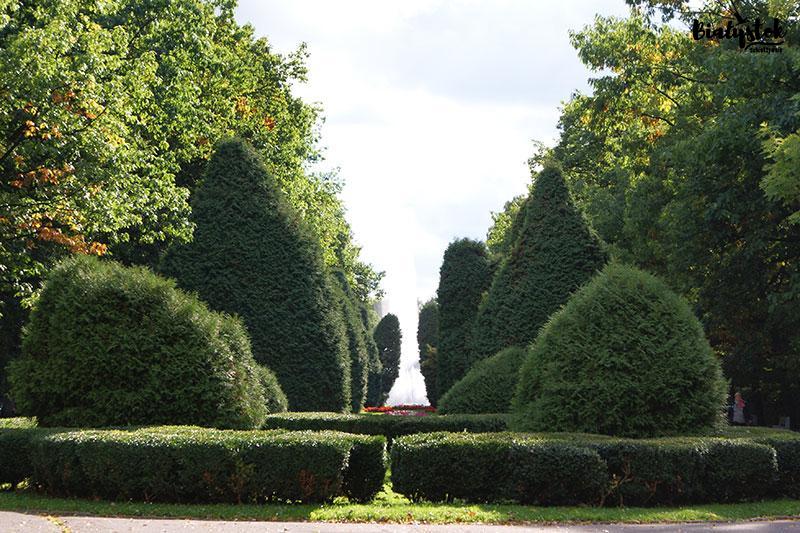 Bialystok Picture
