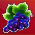 symbol Winogrono