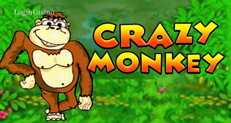 Crazy monkey